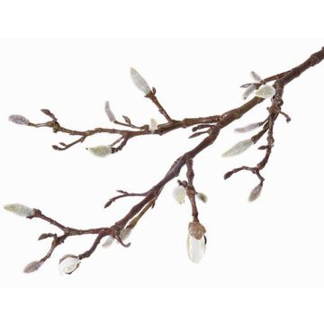 Ramo di magnolia finta ASANI, bianco, 70cm Ramo di magnolia finta ASANI, bianco, 70cm