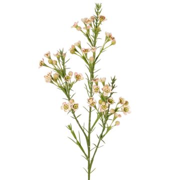 Ramo artificiale di fiore di cera FRINDALS, rosa chiaro-bianco, 65 cm, Ø 1,5-2 cm Ramo artificiale di fiore di cera FRINDALS, rosa chiaro-bianco, 65 cm, Ø 1,5-2 cm