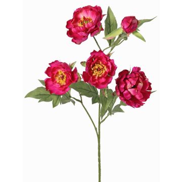 Ramo artificiale di peonia LARDUAN, Eco Collection, fucsia, 60cm, Ø7cm Ramo artificiale di peonia LARDUAN, Eco Collection, fucsia, 60cm, Ø7cm