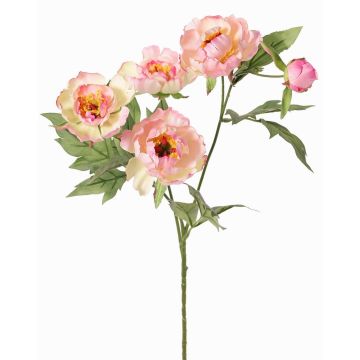Ramo artificiale di peonia LARDUAN, Eco Collection, rosa-bianco, 60cm, Ø7cm Ramo artificiale di peonia LARDUAN, Eco Collection, rosa-bianco, 60cm, Ø7cm