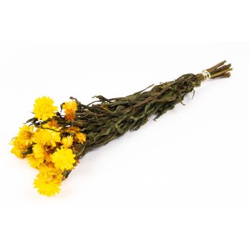 Mazzo di fiori di paglia mediterranei essiccati ALMINKA, giallo, 50-60 cm, Ø 15 cm