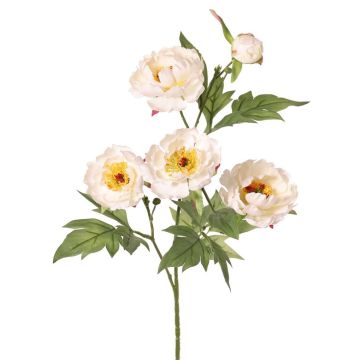 Ramo artificiale di peonia LARDUAN, Eco Collection, rosa tenue-bianco, 60 cm, Ø 7 cm Ramo artificiale di peonia LARDUAN, Eco Collection, rosa tenue-bianco, 60 cm, Ø 7 cm