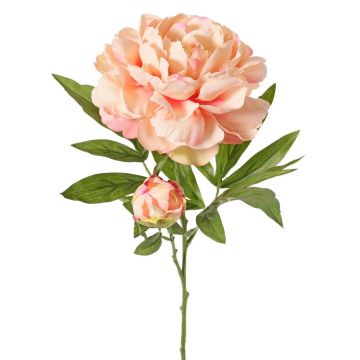 Fiore artificiale di peonia WARDUAN, Eco Collection, salmone, 65 cm, Ø 15 cm