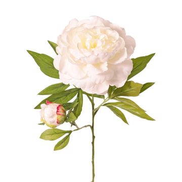 Fiore artificiale peonia WARDUAN, Eco Collection, bianco, 65 cm, Ø 15 cm