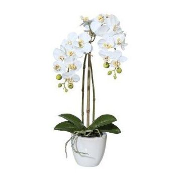 Orchidea Phalaenopsis artificiale LARKEN in vaso di ceramica, con radici, bianca, 45 cm Orchidea Phalaenopsis artificiale LARKEN in vaso di ceramica, con radici, bianca, 45 cm