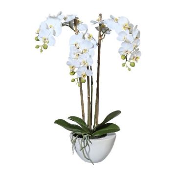 Orchidea Phalaenopsis artificiale LARKEN in ciotola di ceramica, con radici, bianca, 50cm Orchidea Phalaenopsis artificiale LARKEN in ciotola di ceramica, con radici, bianca, 50cm