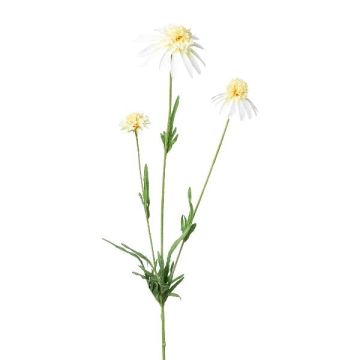 Ramo artificiale di echinacea KAELY, color crema, 65 cm Ramo artificiale di echinacea KAELY, color crema, 65 cm