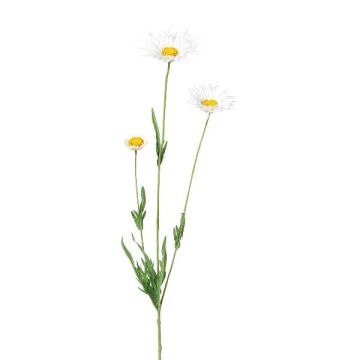 Ramo decorativo margherita FRUHIL, bianco, 65 cm Ramo decorativo margherita FRUHIL, bianco, 65 cm
