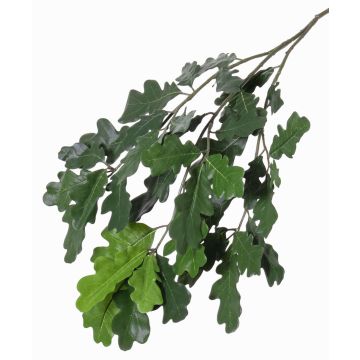 Ramo artificiale di quercia KALLI, crossdoor, 70cm Ramo artificiale di quercia KALLI, crossdoor, 70cm