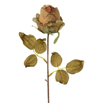 Fiore decorativo rosa GROLK, effetto secco, verde-marrone, 45cm, Ø6cm
