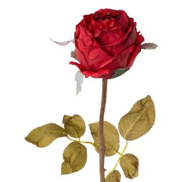 Fiore decorativo rosa ZONFER, effetto secco, rosso, 60 cm, Ø 8 cm Fiore decorativo rosa ZONFER, effetto secco, rosso, 60 cm, Ø 8 cm