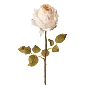 Fiore decorativo rosa ZONFER, effetto secco, color crema, 60 cm, Ø 8 cm Fiore decorativo rosa ZONFER, effetto secco, color crema, 60 cm, Ø 8 cm
