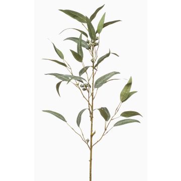 Ramo decorativo di eucalipto JURKA con frutti, verde-grigio, 90 cm Ramo decorativo di eucalipto JURKA con frutti, verde-grigio, 90 cm