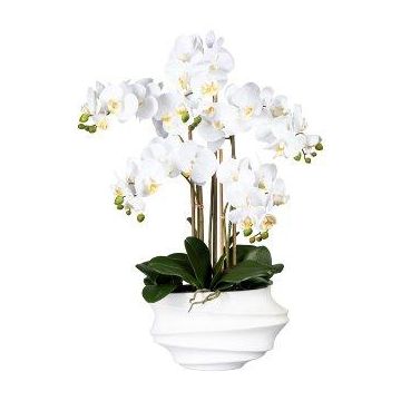 Orchidea Phalaenopsis in tessuto ZALBROK, vaso decorativo bianco, radici bianche, 75 cm