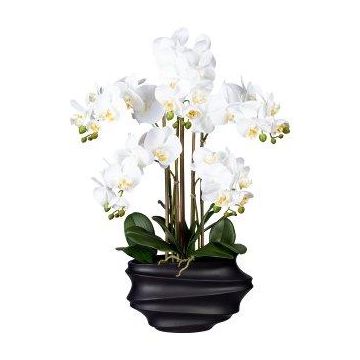 Orchidea Phalaenopsis in tessuto ZALBROK, vaso decorativo nero, radici bianche, 75 cm