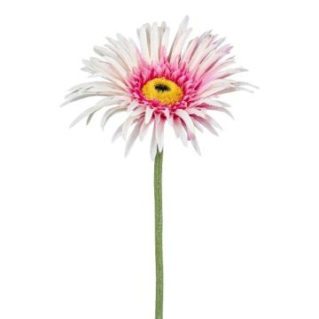 Fiore artificiale Gerbera FELISY, rosa-bianco, 65 cm Fiore artificiale Gerbera FELISY, rosa-bianco, 65 cm