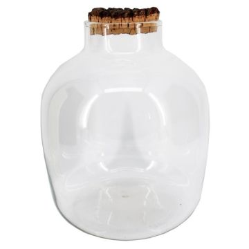 Barattolo RYZEL con coperchio in sughero, trasparente, 28 cm, Ø 23 cm Barattolo RYZEL con coperchio in sughero, trasparente, 28 cm, Ø 23 cm