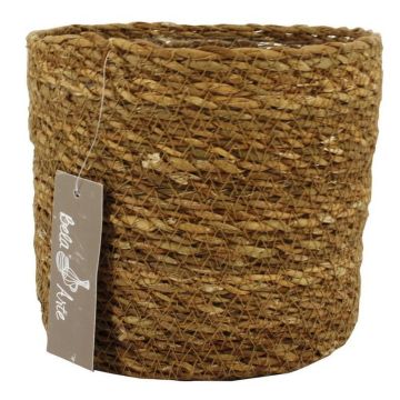 Cesto in alghe marine AMPARO, beige, 12,5cm, Ø14cm Cesto in alghe marine AMPARO, beige, 12,5cm, Ø14cm