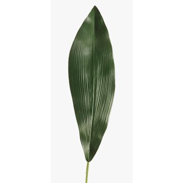Foglia di aspidistra artificiale PAISA, 75cm Foglia di aspidistra artificiale PAISA, 75cm
