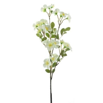 Ramo decorativo di fiori di melo WENIA, color crema, 70 cm, Ø 2-4 cm Ramo decorativo di fiori di melo WENIA, color crema, 70 cm, Ø 2-4 cm