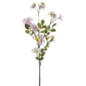 Fioro decorativo ramo di fiori di melo WENIA, rosa-bianco, 70 cm, Ø 2-4 cm