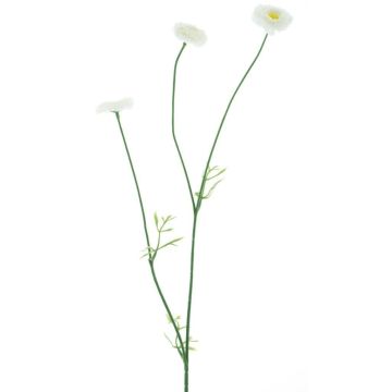 Ramo di fiori in tessuto Bellis NIKSA, color crema, 55 cm Ramo di fiori in tessuto Bellis NIKSA, color crema, 55 cm