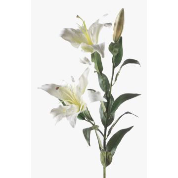 Giglio finto KIRSTEN, bianco, 85cm, Ø15cm