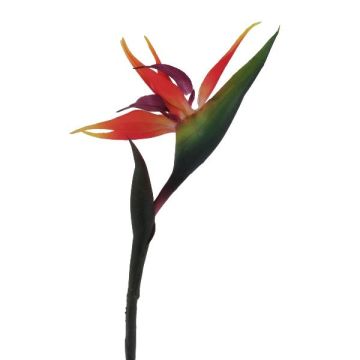 Fiore artificiale Strelitzia LAMONTI, arancione-viola, 85 cm Fiore artificiale Strelitzia LAMONTI, arancione-viola, 85 cm