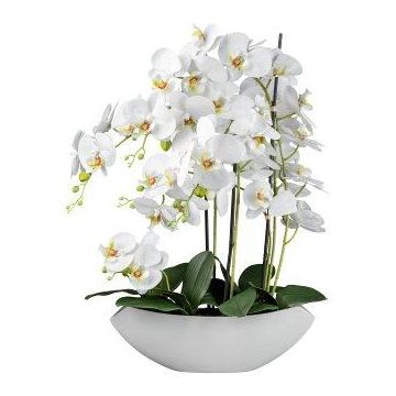 Fiore artificiale orchidea Phalaenopsis XELAV, ciotola in ceramica, bianco, 65 cm