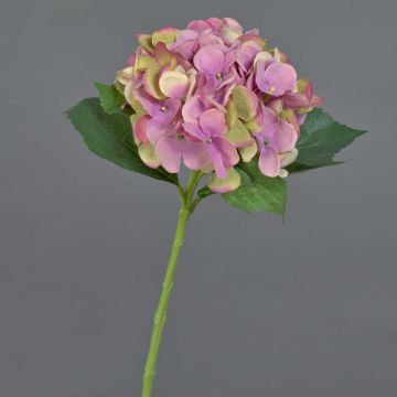 Ortensia finta GABRIELLA, rosa, 50cm, Ø18cm