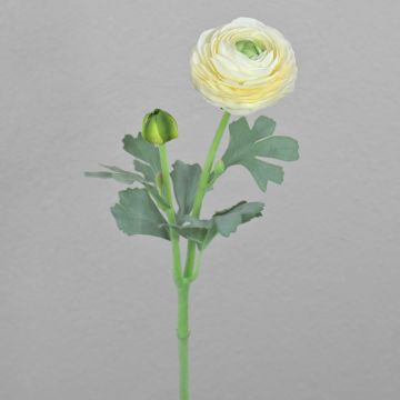 Ranuncolo artificiale CADISS, color crema, 50 cm, Ø 7,5 cm Ranuncolo artificiale CADISS, color crema, 50 cm, Ø 7,5 cm