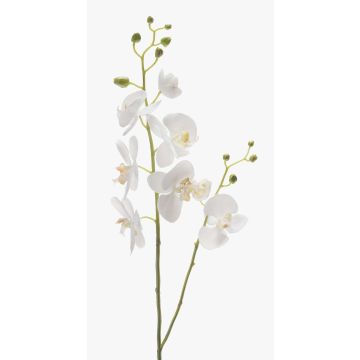 Ramo decorativo di orchidea Phalaenopsis LAHNA, bianco, 95cm