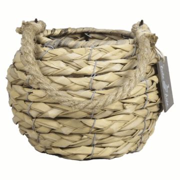 Lanterna di legno JUANITA con portacandela di vetro, manico, intrecciato, beige, 13cm, Ø17cm Lanterna di legno JUANITA con portacandela di vetro, manico, intrecciato, beige, 13cm, Ø17cm