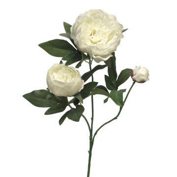 Ramo decorativo di peonia MEIRU, color crema, 70 cm, Ø 9-12 cm Ramo decorativo di peonia MEIRU, color crema, 70 cm, Ø 9-12 cm