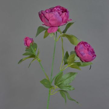 Ramo decorativo di peonia MEIRU, viola scuro, 70 cm, Ø 9-12 cm Ramo decorativo di peonia MEIRU, viola scuro, 70 cm, Ø 9-12 cm