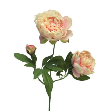 Ramo decorativo di peonia MEIRU, rosa albicocca, 70 cm, Ø 9-12 cm Ramo decorativo di peonia MEIRU, rosa albicocca, 70 cm, Ø 9-12 cm