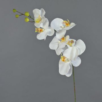Ramo artificiale di orchidea Phalaenopsis LANUA, color crema, 70 cm, Ø 8,5-12 cm