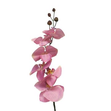 Ramo artificiale di orchidea Phalaenopsis LANUA, rosa, 70 cm, Ø 8,5-12 cm Ramo artificiale di orchidea Phalaenopsis LANUA, rosa, 70 cm, Ø 8,5-12 cm