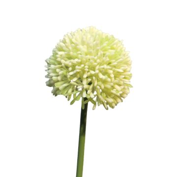Fiore artificiale Allium BAILIN, verde crema, 45 cm, Ø 6,5 cm Fiore artificiale Allium BAILIN, verde crema, 45 cm, Ø 6,5 cm