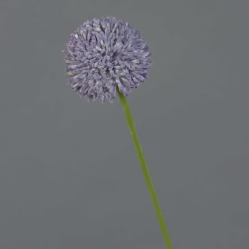 Fiore artificiale Allium BAILIN, lilla, 45cm, Ø6,5cm Fiore artificiale Allium BAILIN, lilla, 45cm, Ø6,5cm