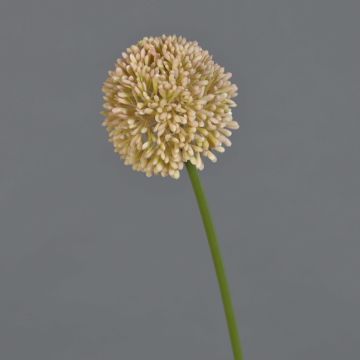 Fiore artificiale Allium BAILIN, rosa-crema, 45 cm, Ø 6,5 cm Fiore artificiale Allium BAILIN, rosa-crema, 45 cm, Ø 6,5 cm