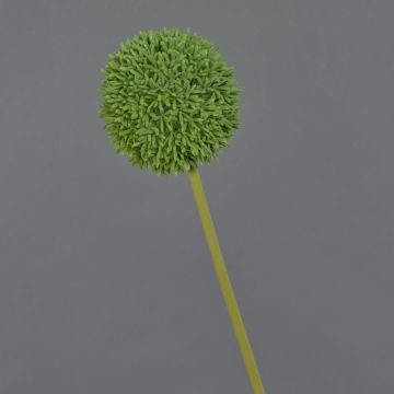 Fiore artificiale Allium BAILIN, verde, 65 cm, Ø 10 cm Fiore artificiale Allium BAILIN, verde, 65 cm, Ø 10 cm