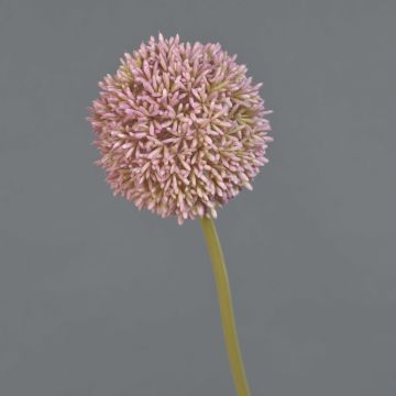 Fiore artificiale Allium BAILIN, rosa-verde, 65 cm, Ø 10 cm Fiore artificiale Allium BAILIN, rosa-verde, 65 cm, Ø 10 cm
