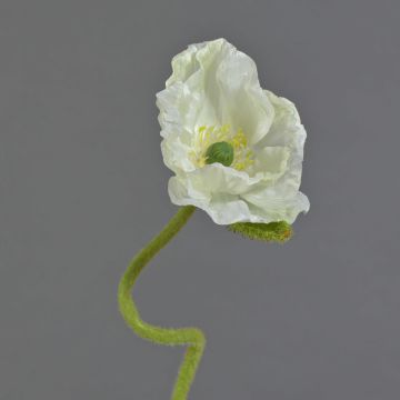 Fiore decorativo papavero ANKANG, color crema, 70 cm, Ø 9,5 cm Fiore decorativo papavero ANKANG, color crema, 70 cm, Ø 9,5 cm