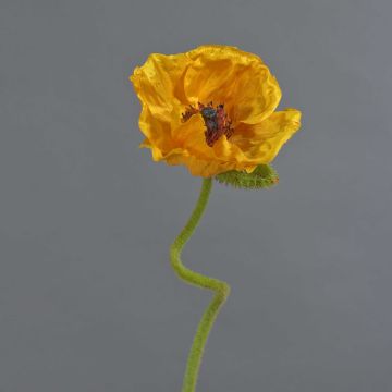 Fiore decorativo papavero ANKANG, giallo-arancio, 70 cm, Ø 9,5 cm Fiore decorativo papavero ANKANG, giallo-arancio, 70 cm, Ø 9,5 cm