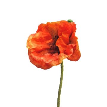 Fiore decorativo papavero ANKANG, arancione, 70 cm, Ø 9,5 cm Fiore decorativo papavero ANKANG, arancione, 70 cm, Ø 9,5 cm