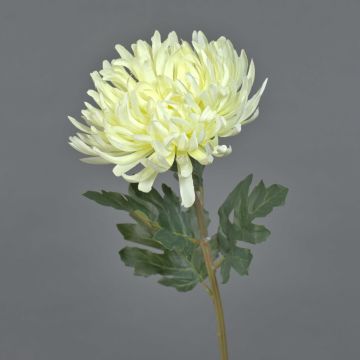 Fiore decorativo: crisantemo LINGYUN, color crema, 65 cm, Ø 16 cm Fiore decorativo: crisantemo LINGYUN, color crema, 65 cm, Ø 16 cm