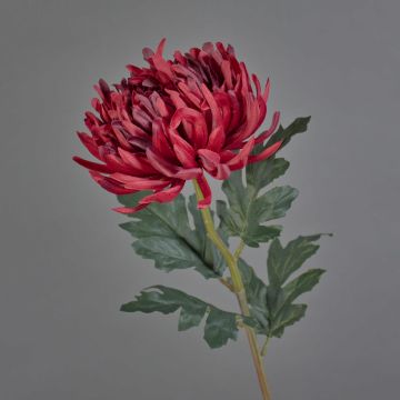 Fiore decorativo crisantemo LINGYUN, rosso scuro, 65 cm, Ø 16 cm Fiore decorativo crisantemo LINGYUN, rosso scuro, 65 cm, Ø 16 cm