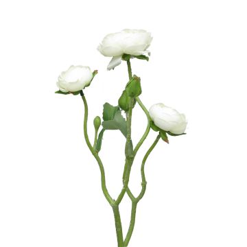 Ramo decorativo di ranuncoli JIXIANG, bianco, 50cm Ramo decorativo di ranuncoli JIXIANG, bianco, 50cm