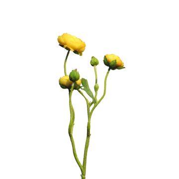 Ramo decorativo di ranuncoli JIXIANG, giallo, 50cm Ramo decorativo di ranuncoli JIXIANG, giallo, 50cm